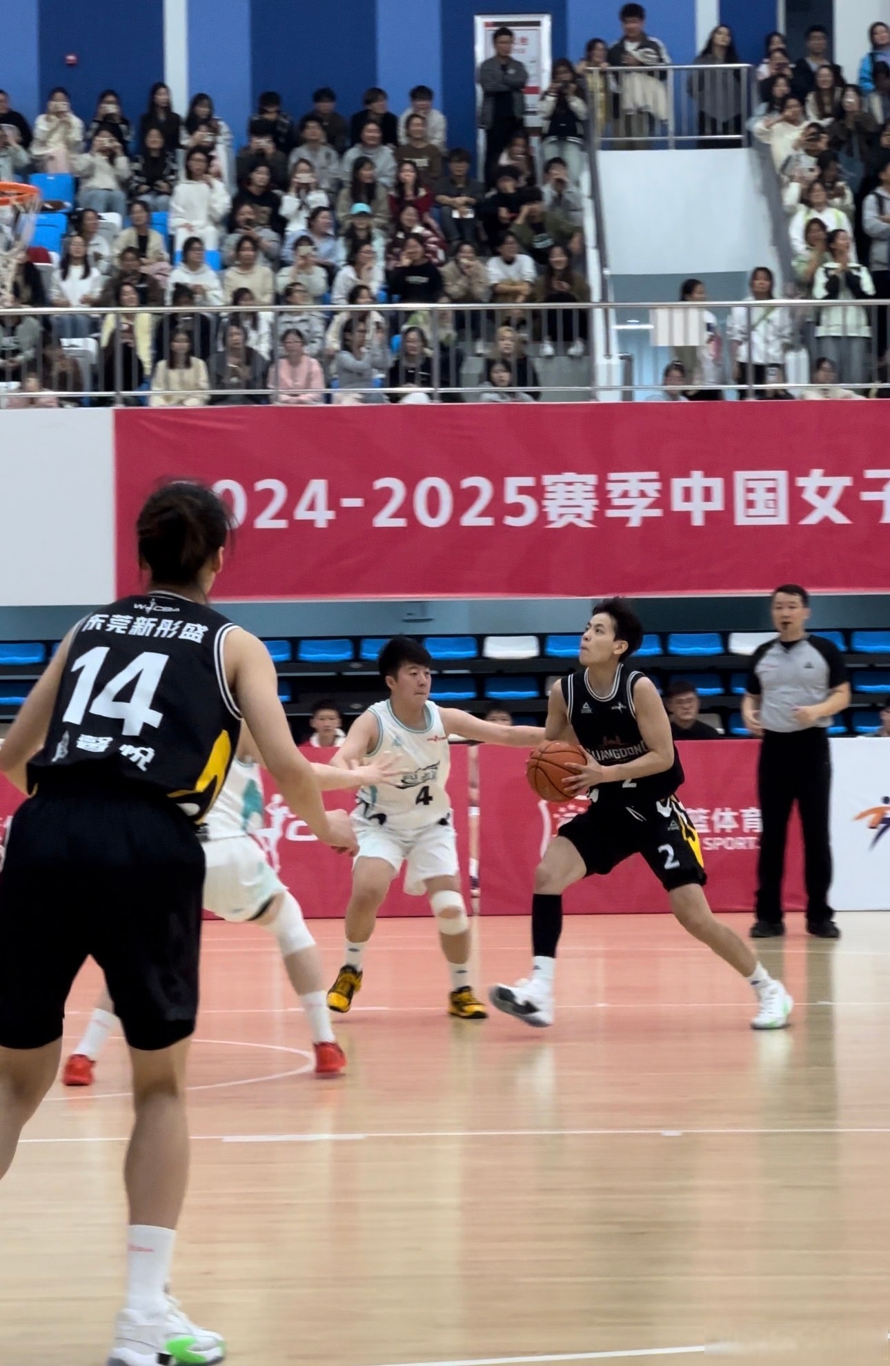 aoa体育-山东女篮内部矛盾不断，CBA联赛管理加大