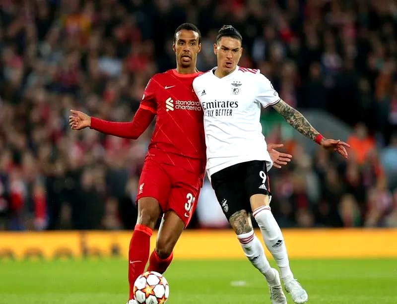 关于利物浦连续不败，英超冠军前景乐观的信息